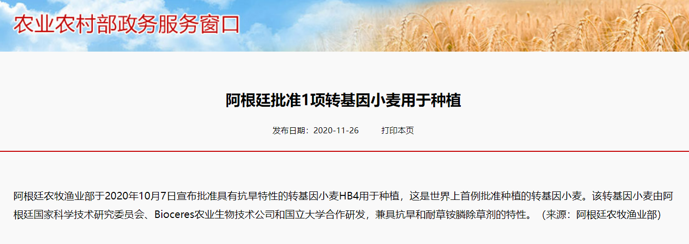 农学堂:小麦转基因品种有哪些?