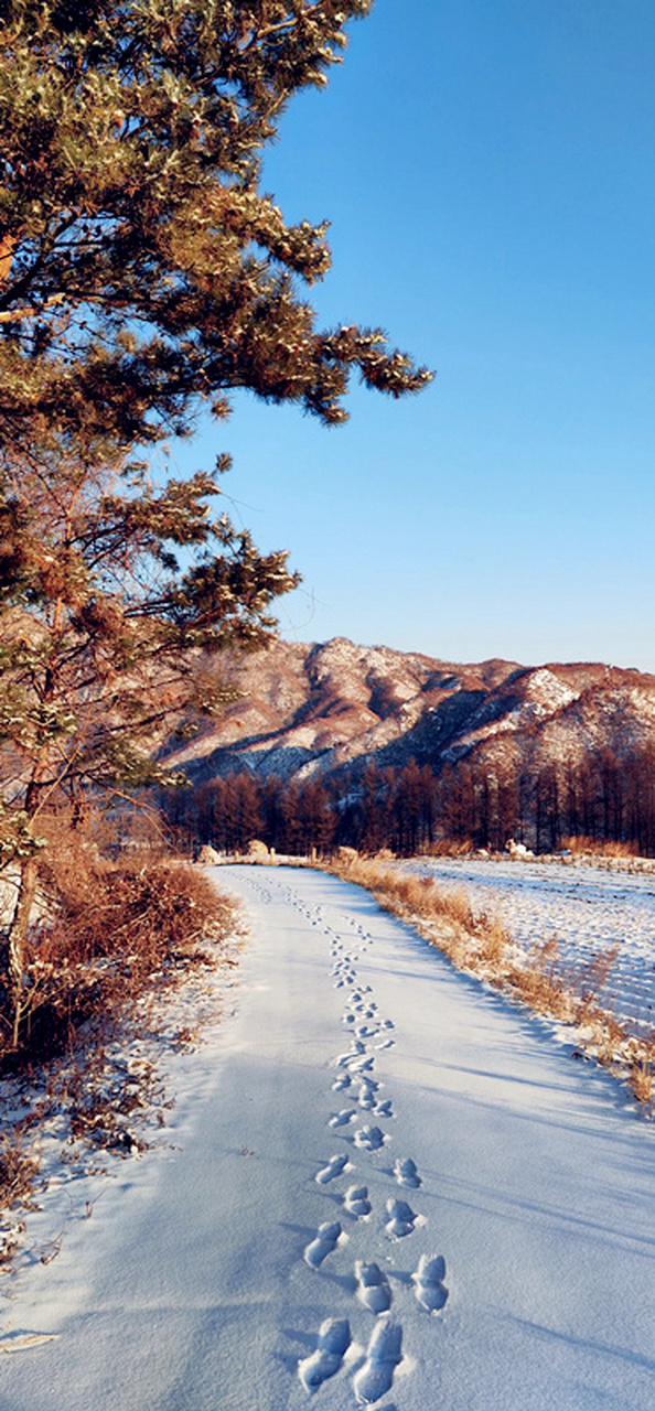 振兴新突破辽宁杠杠滴# #美好辽宁欢迎您# 乡村雪景如画