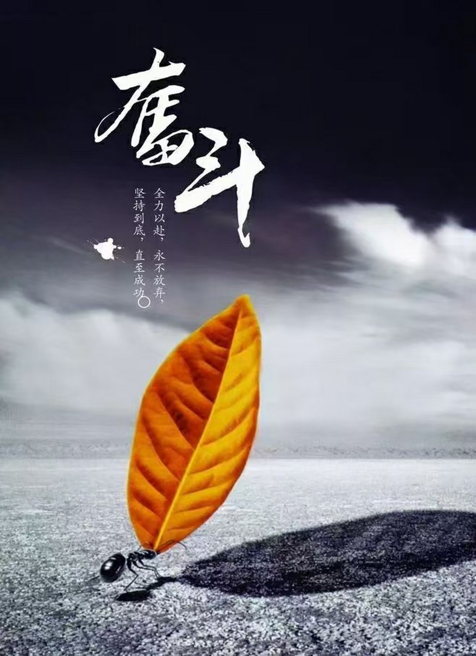 你认为最励志的一句话是什么?