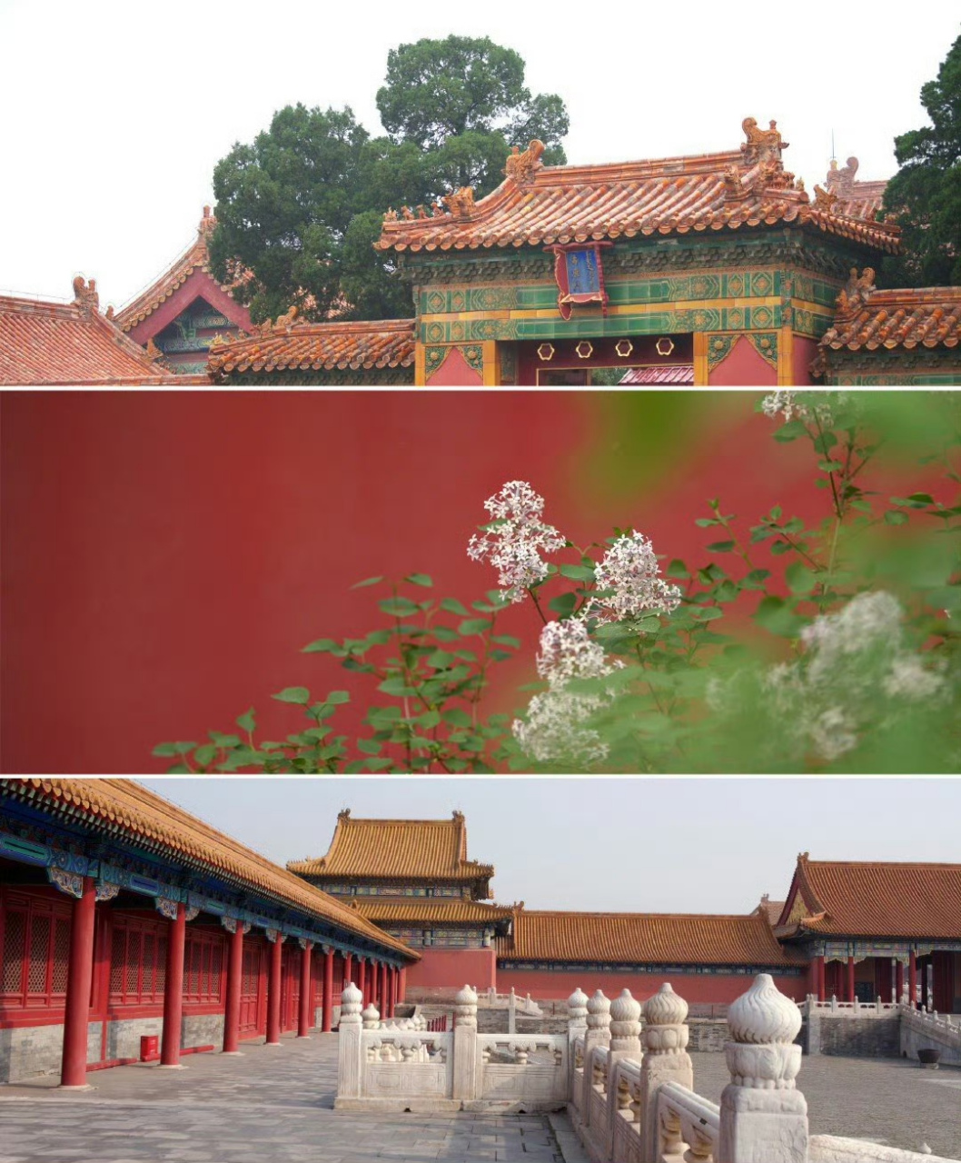 故宫那些古老而鲜活的中国红