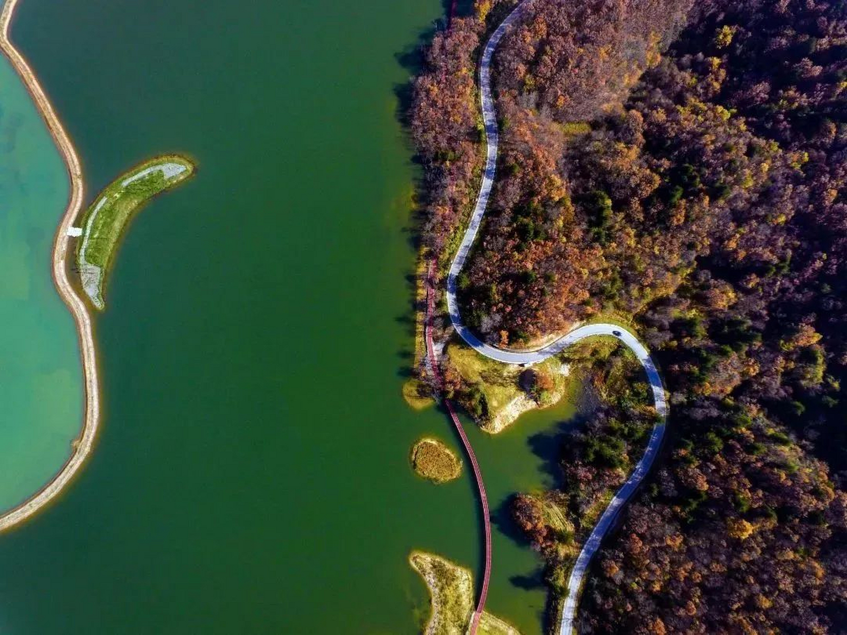 冬日好去处#广元月坝村:位于四川省广元市利州区,是一个以农耕文晃