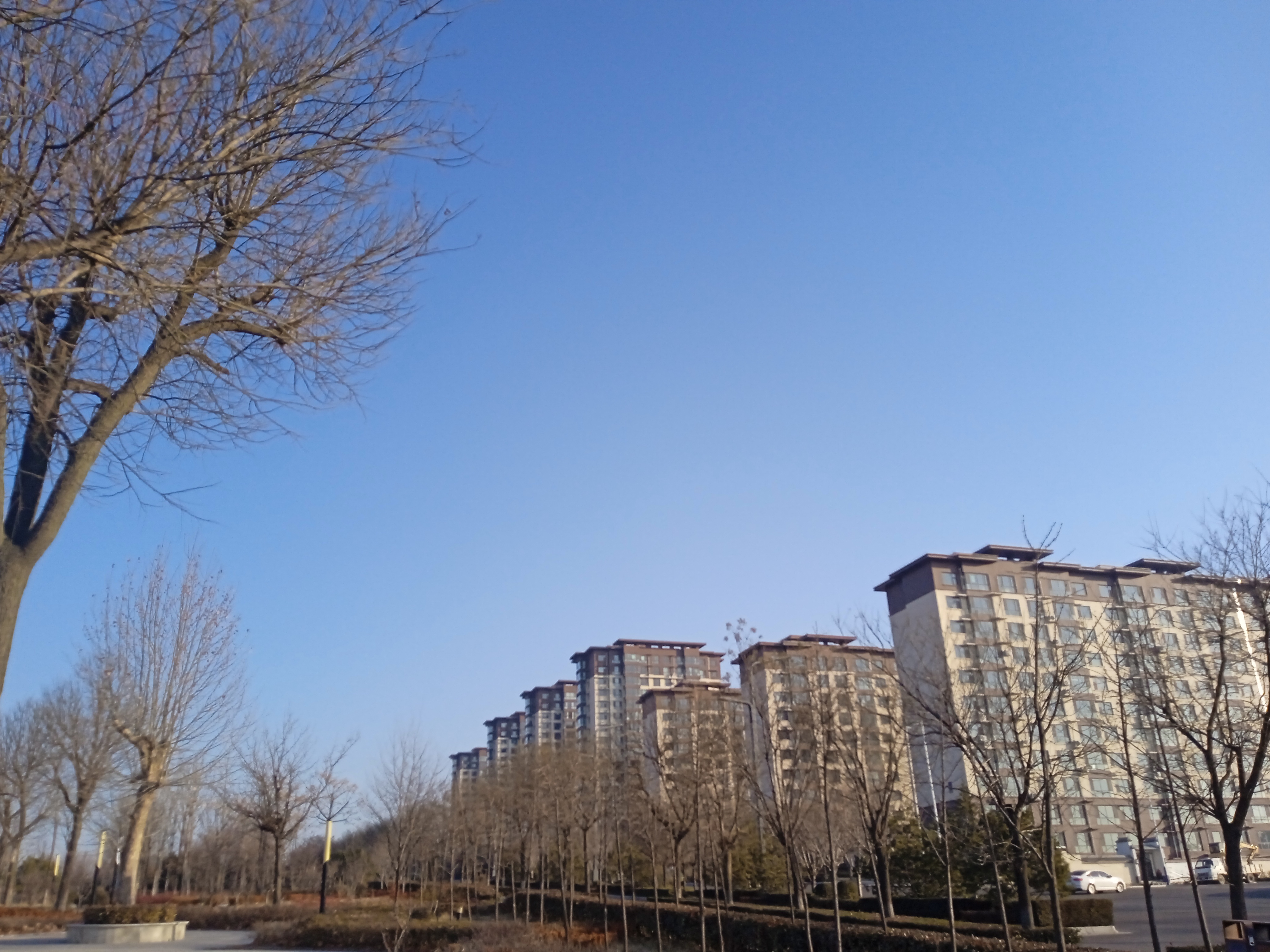 陕西合阳冬日美景欣赏