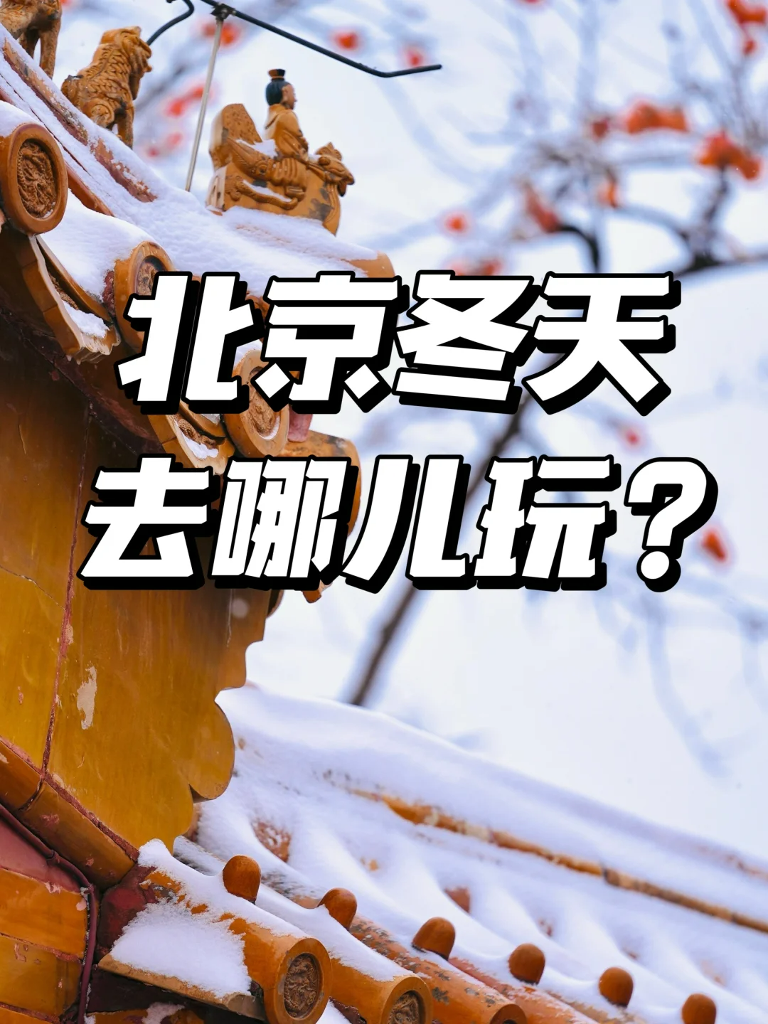 冬天去哪玩暖和又便宜的国家(冬天去国内哪里旅游便宜又好玩)