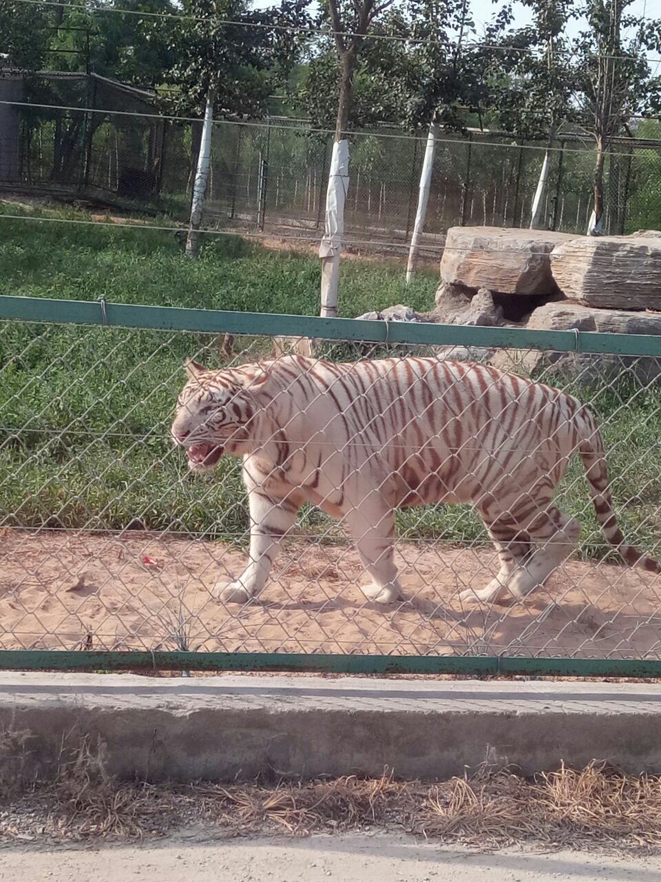 游览北戴河,河北省的海边仙境,临海悬崖间的绝美风光引人入胜!