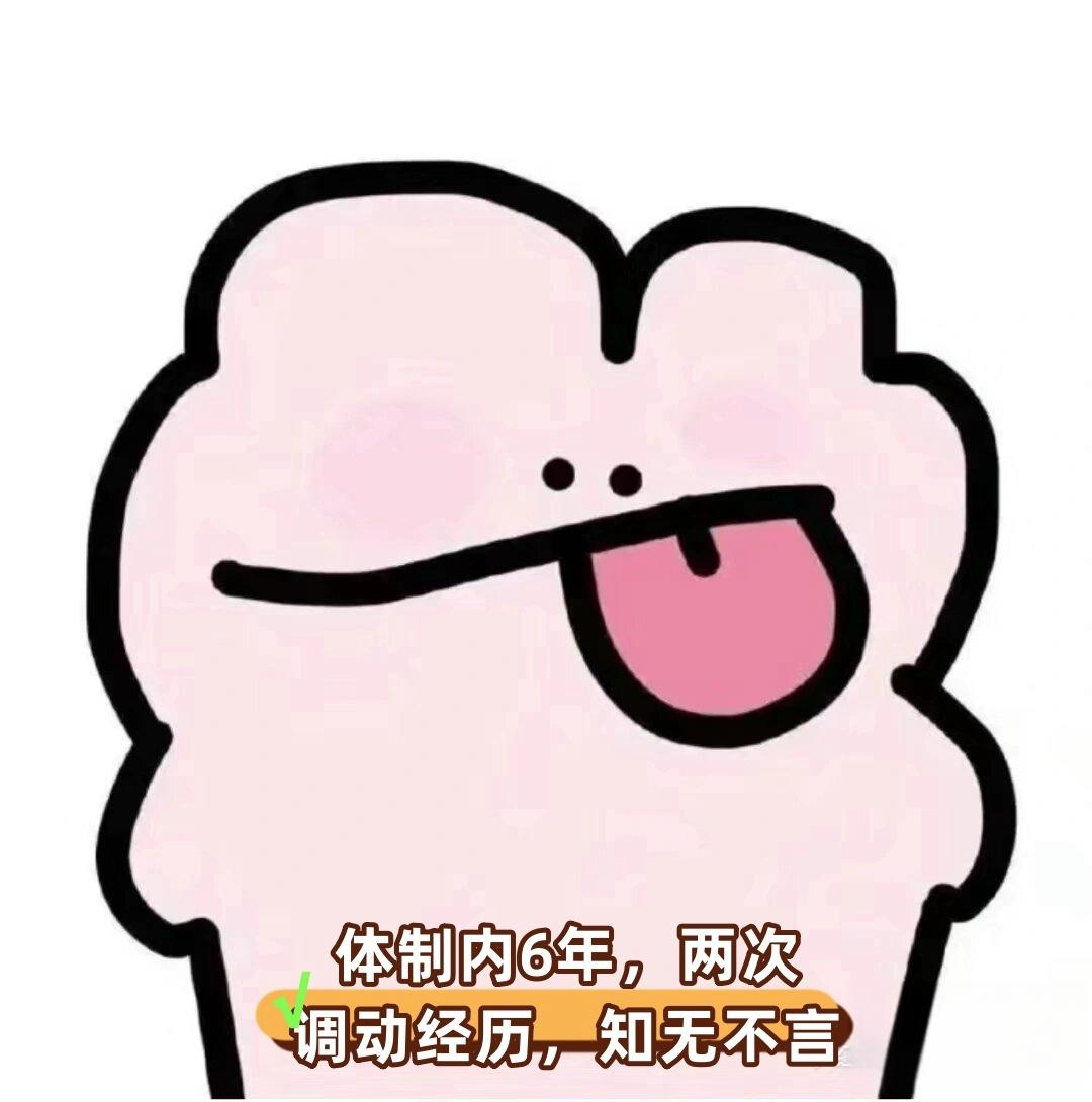 作为一名曾经在乡镇县级市级省级都工作过的公务员以及事业编人员