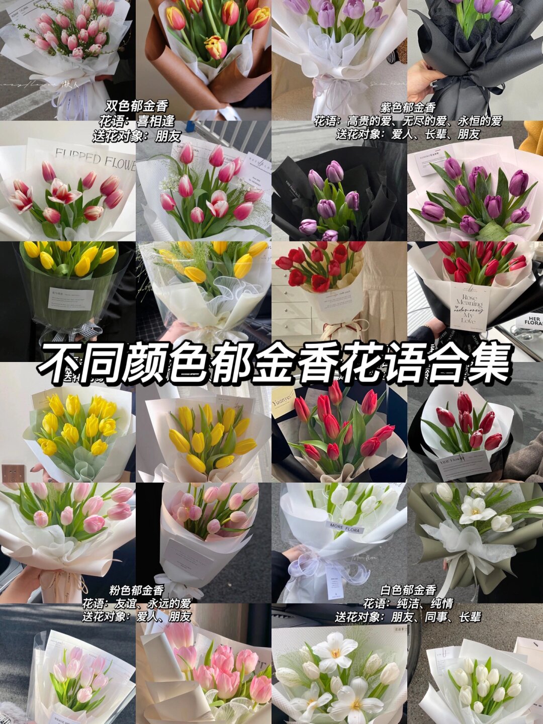 宝贝爱人花语图片