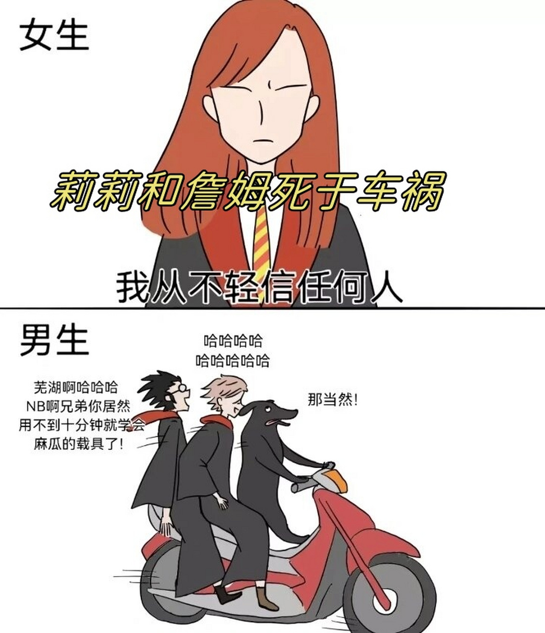 詹姆 莉莉图片