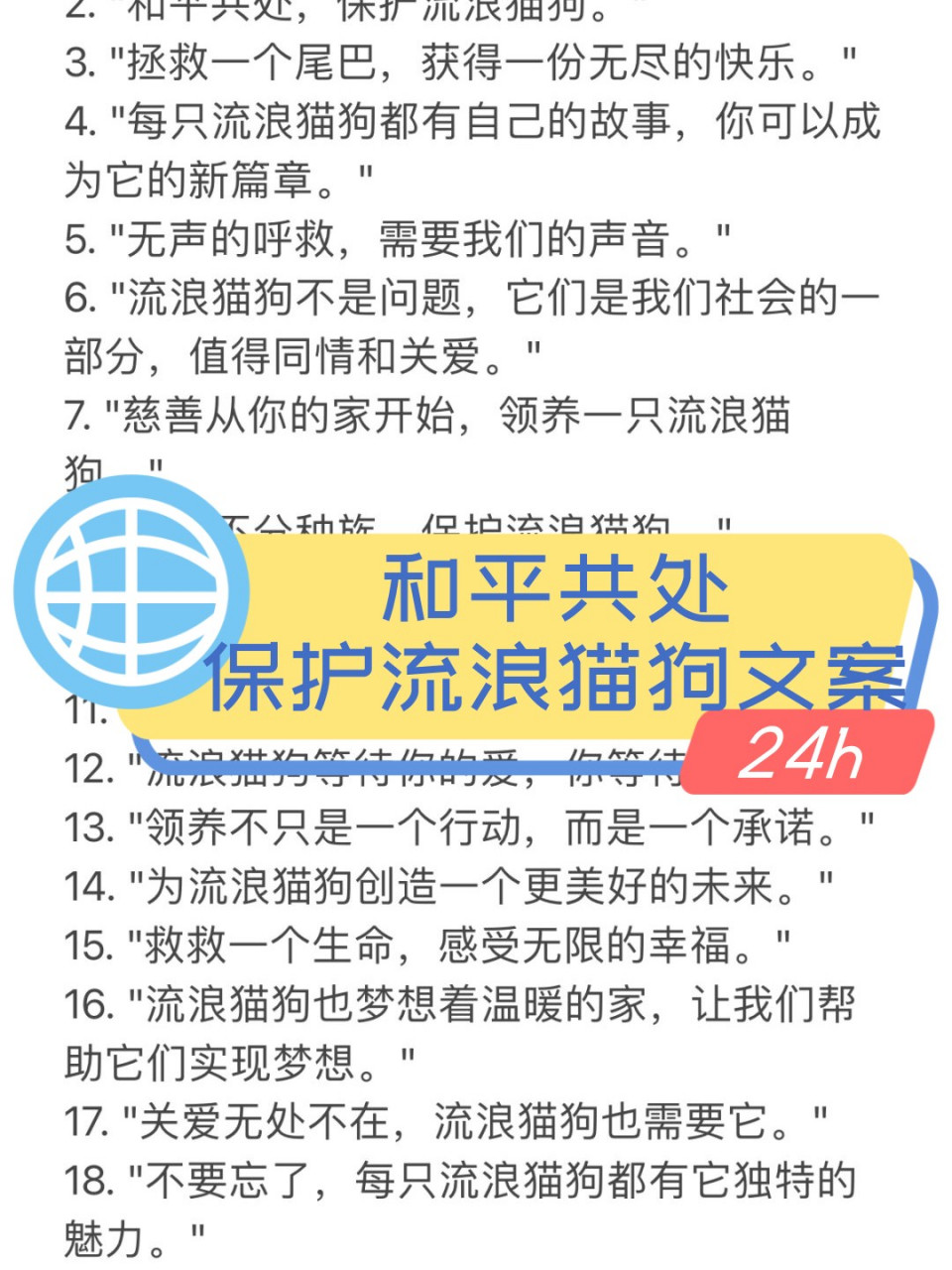 和平共处,保护流浪猫狗文案  每一只流浪猫狗都承载着一段独特的故事