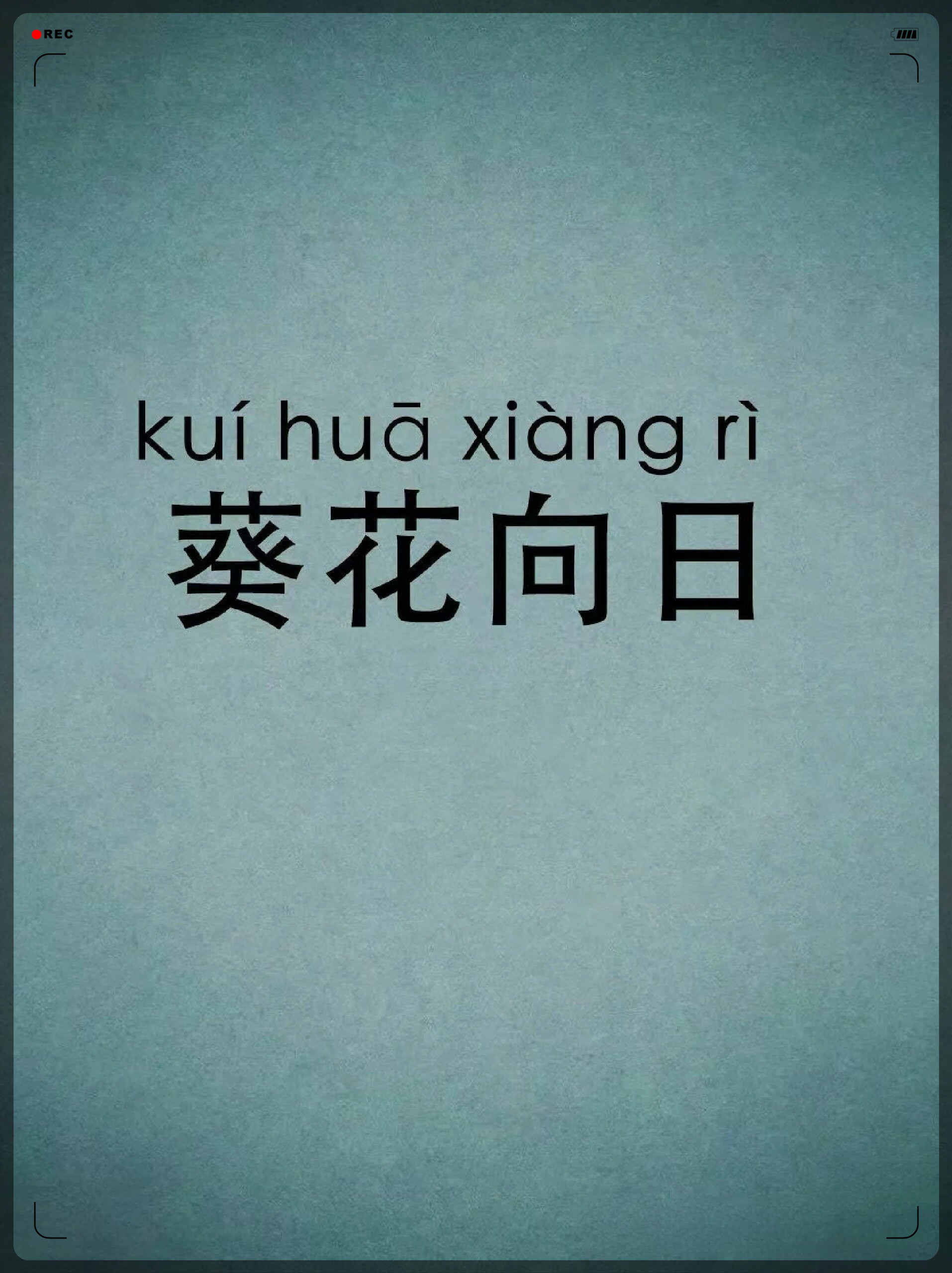 组词向往拼音太阳花的拼音托物言志的向日葵向日葵的拼音一朵向日葵