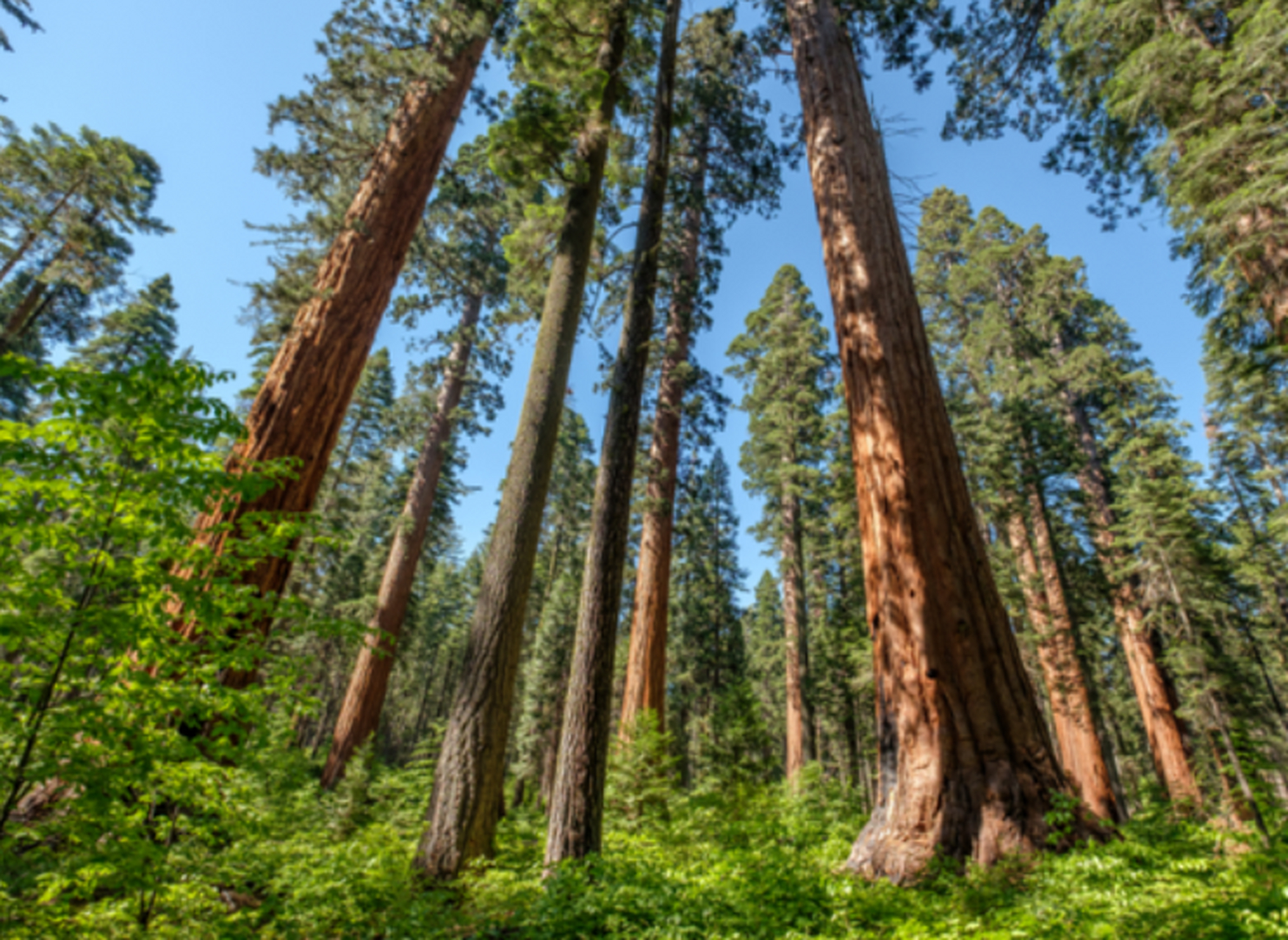 宜昌位于湖北省,拥有多种优质的家具木材,包括松木,桦木,樟木和柏木.