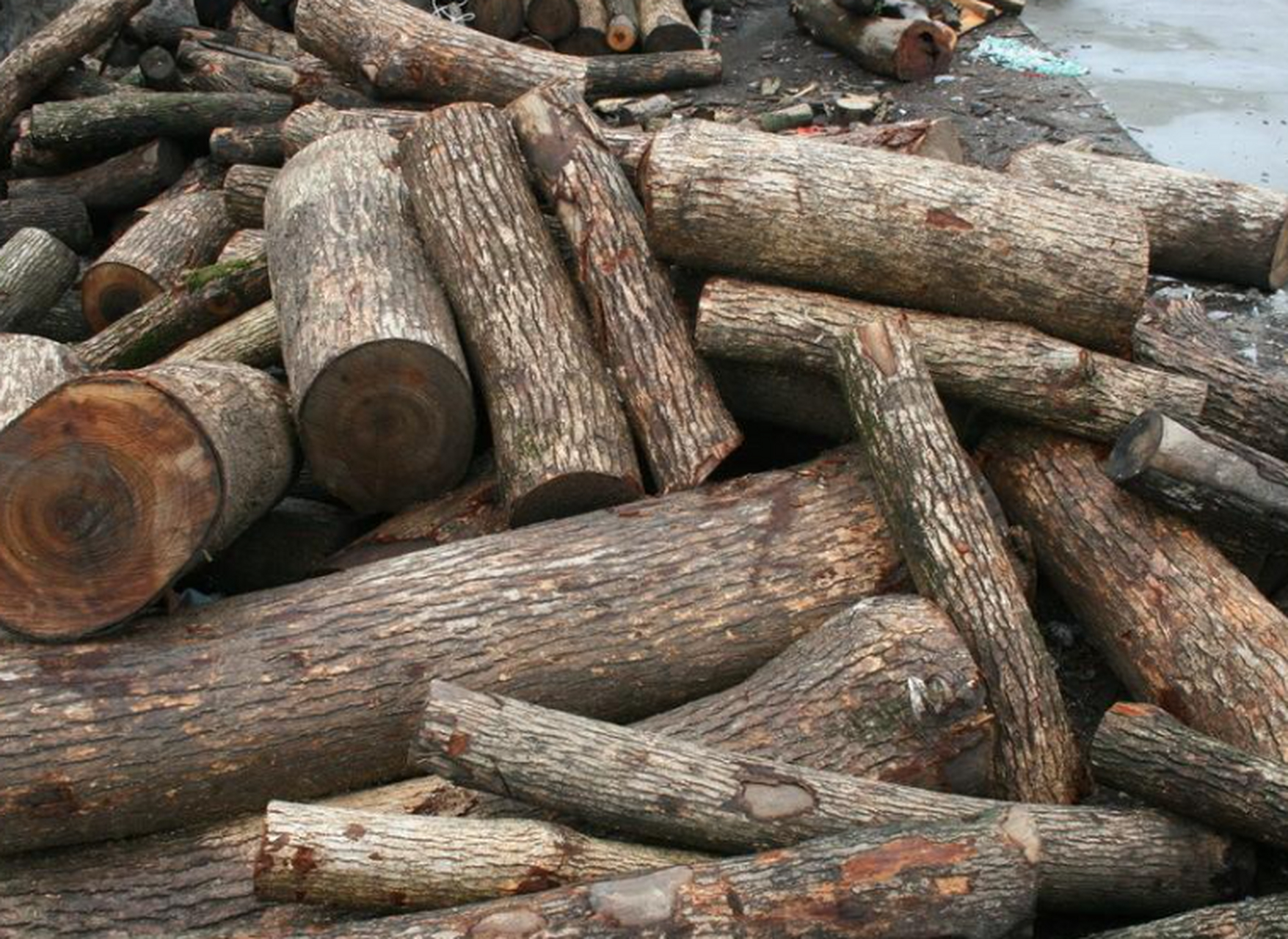 宜昌位于湖北省,拥有多种优质的家具木材,包括松木,桦木,樟木和柏木.