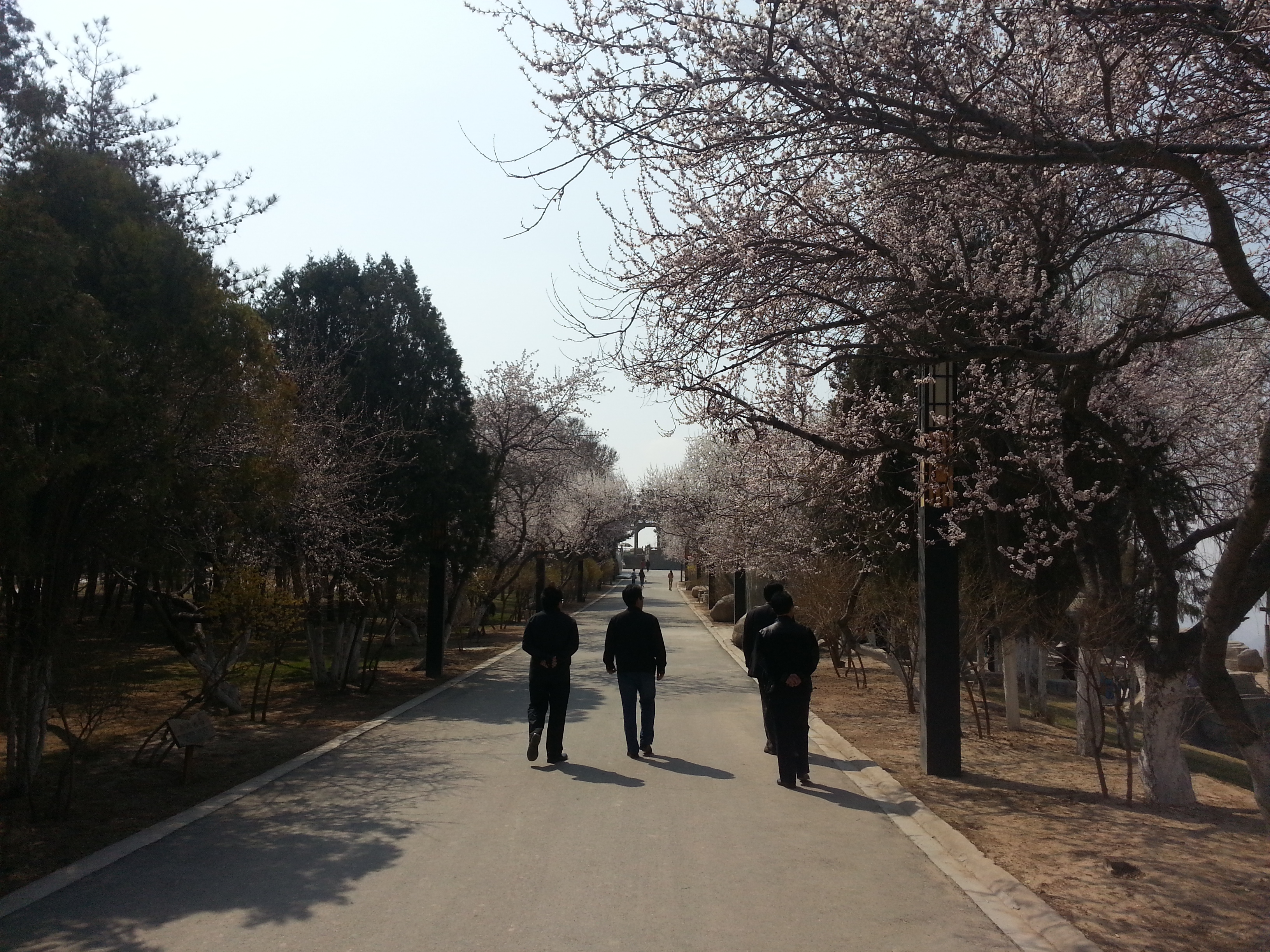 甘肃兰州兰山公园:绿树葱郁,万紫千红的人间仙境