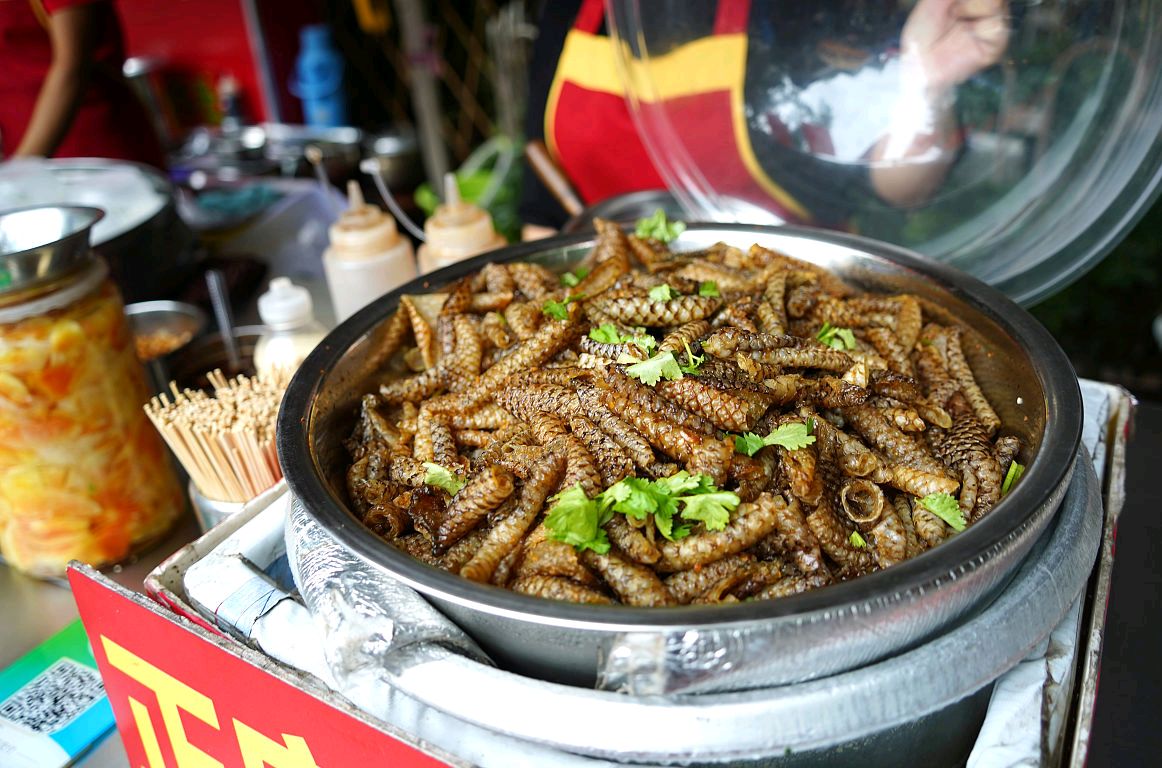 走访黄埔古港领略它的历史文化