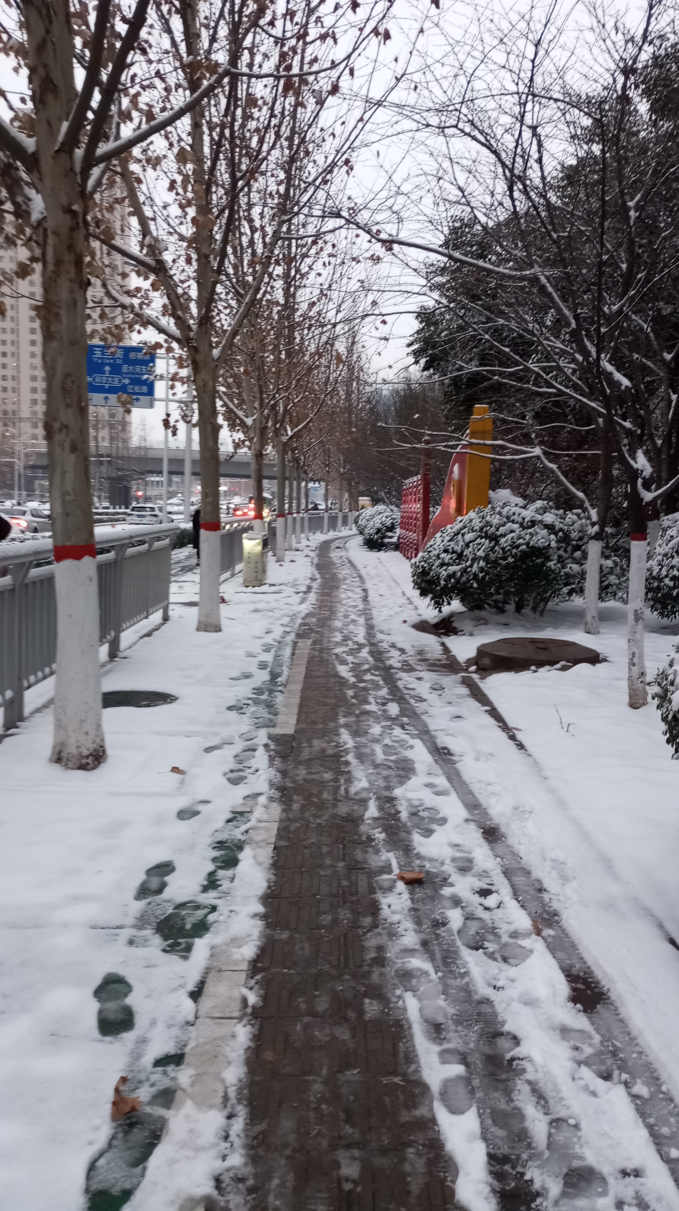 一夜雪,天亮起!