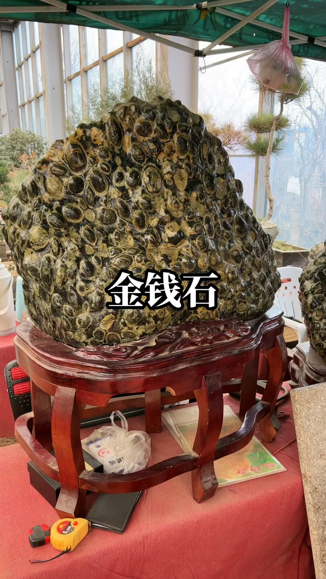 平邑金钱石图片