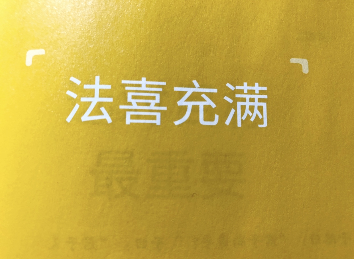 讲论语之法喜充满10