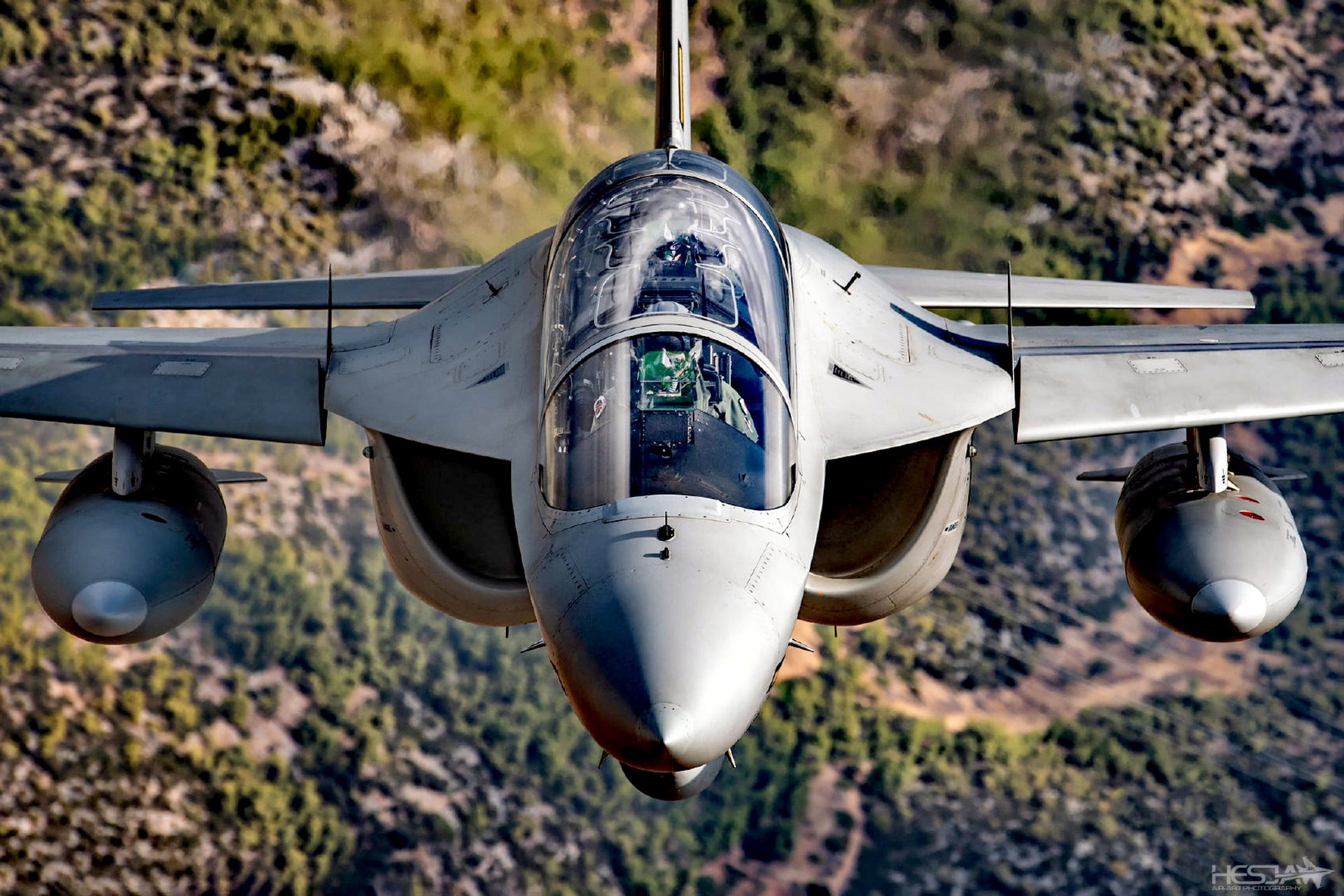 战机欣赏:意大利空军的m346高级教练机,该机和雅克130是一棵树上结出