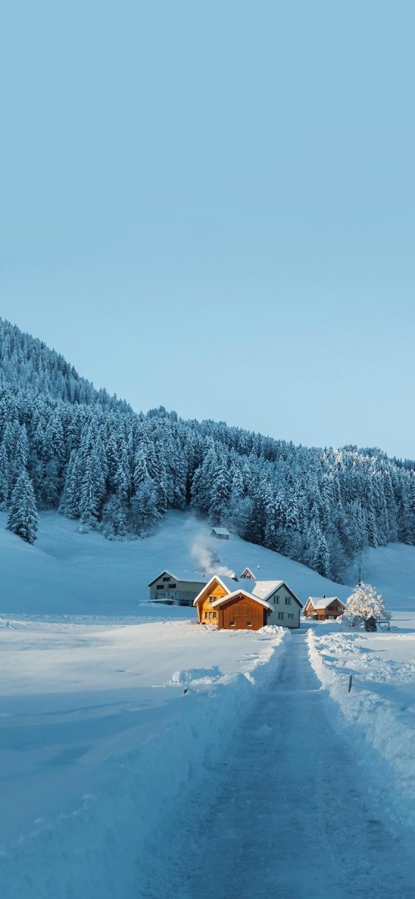 雪景手机壁纸 当天空飘起雪花,大地铺满银装,一切都变得那么宁静,纯粹