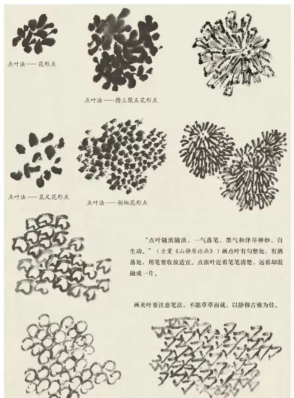 勾花点花点叶夹叶图片