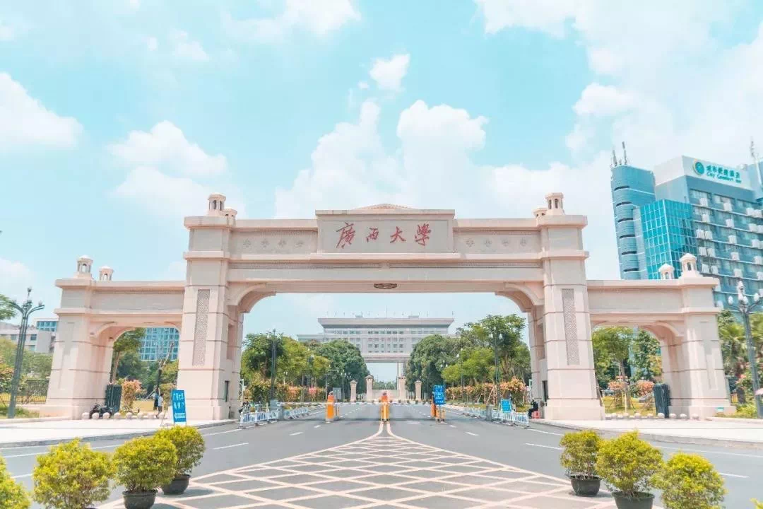 广西冷知识:南宁全城37所高校,涵盖文,理,工,农,医等多领域