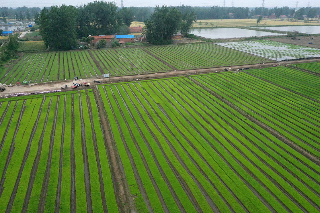 好消息,永久基本农田要全部按照规划建成优质农田?哪一年完成?