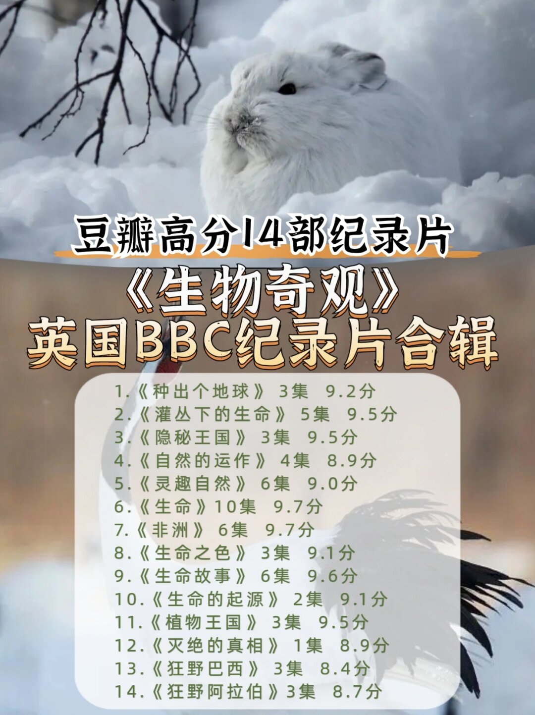 bbc豆瓣高分奇妙生物纪录片