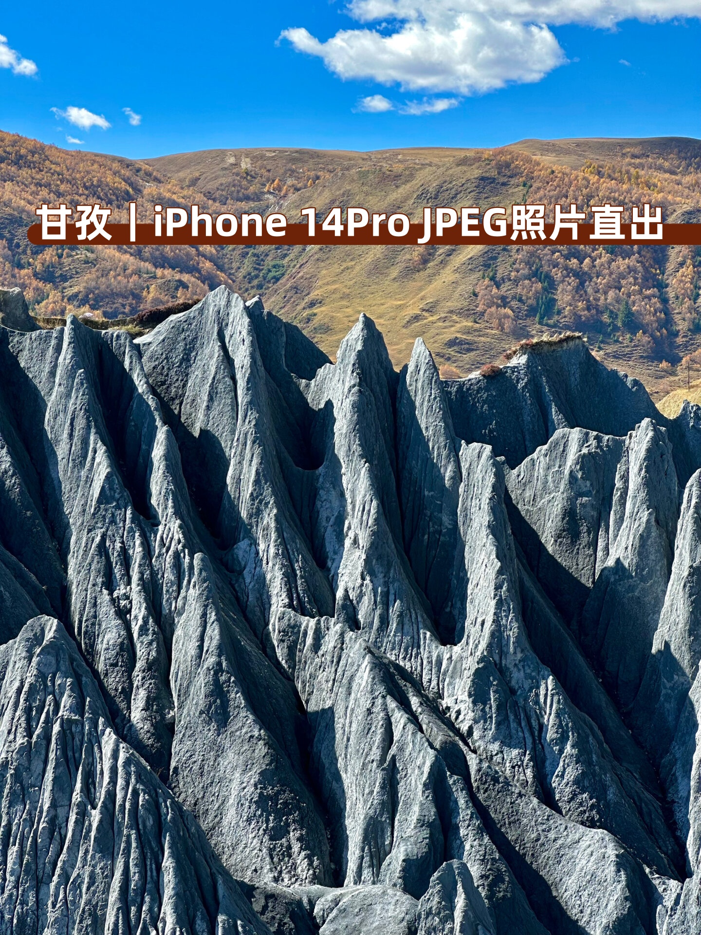 甘孜|iphone 14pro jpeg照片直出