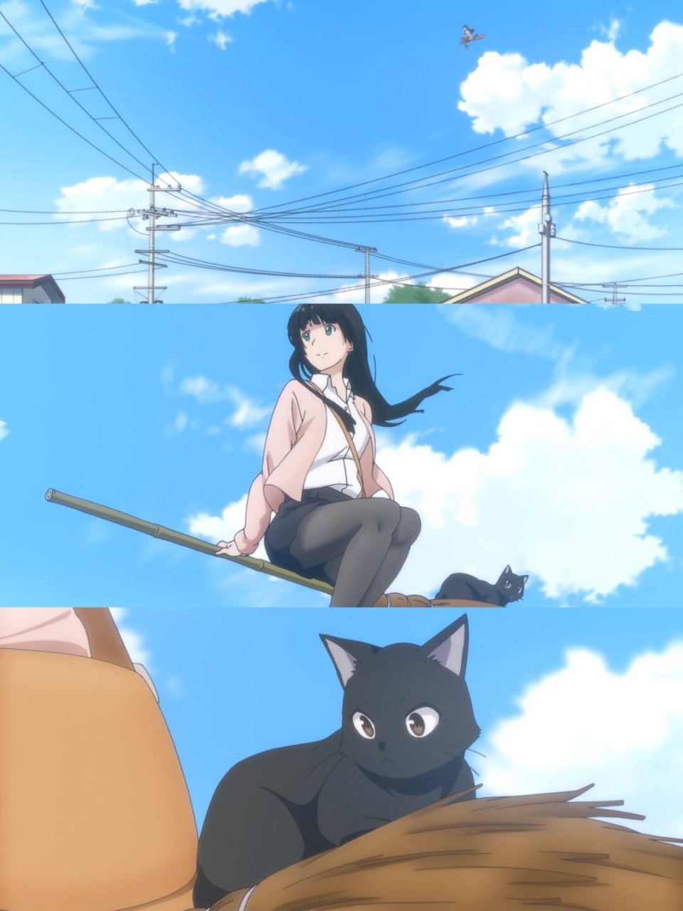 《飞翔的魔女》是一部让人眼前一亮的动画,讲述了一位会飞翔的魔女