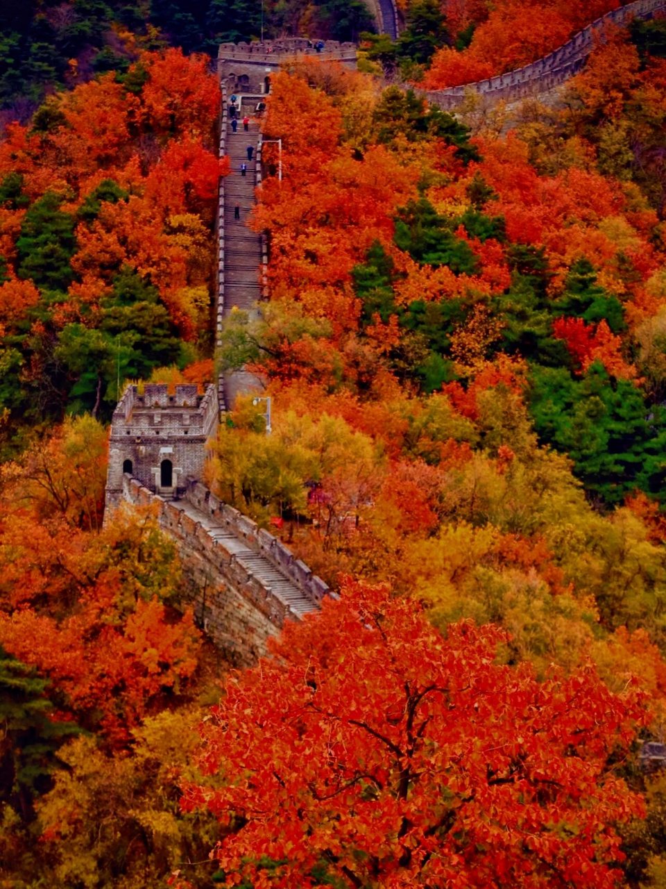 北京旅游景点秋天图片