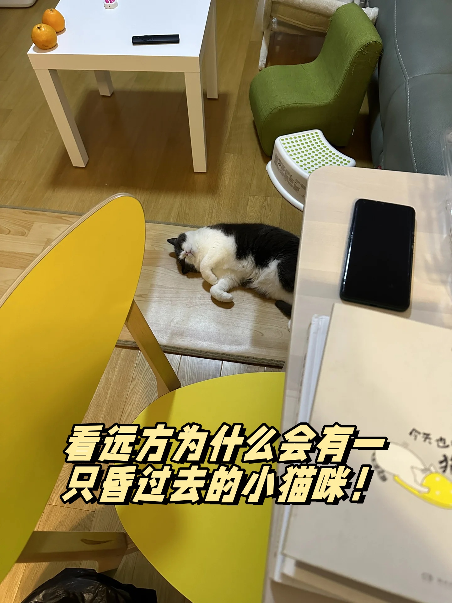 哦原来是我的小猫咪啊