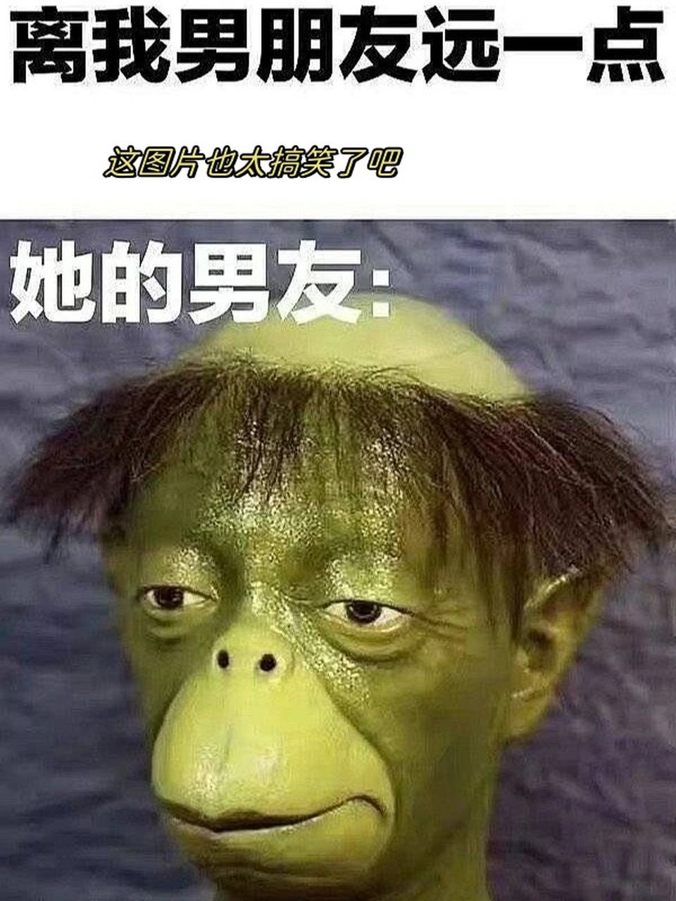 这图片也太搞笑了吧