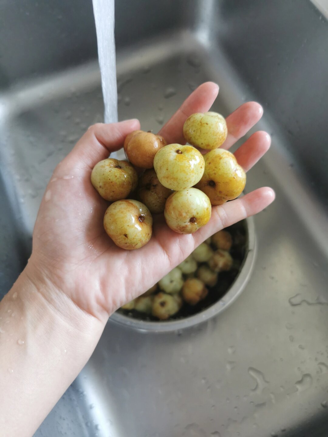 每当贪吃导致积食,奶奶就会拿出这些油甘子,它们既脆又甜,每一口都带