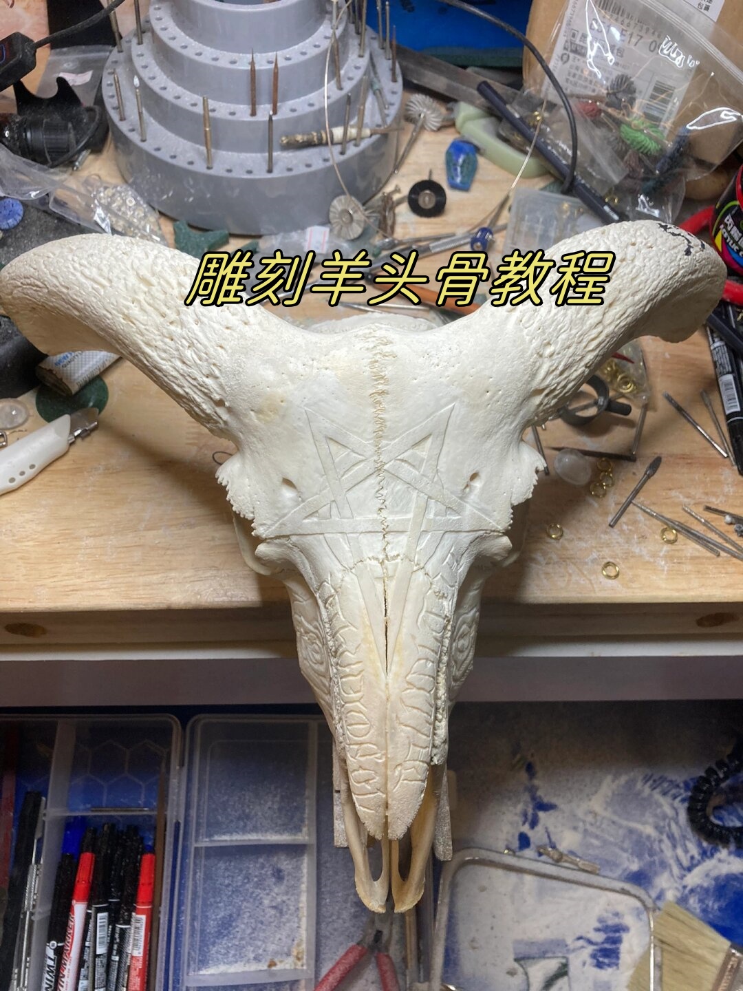 雕刻羊头骨教程