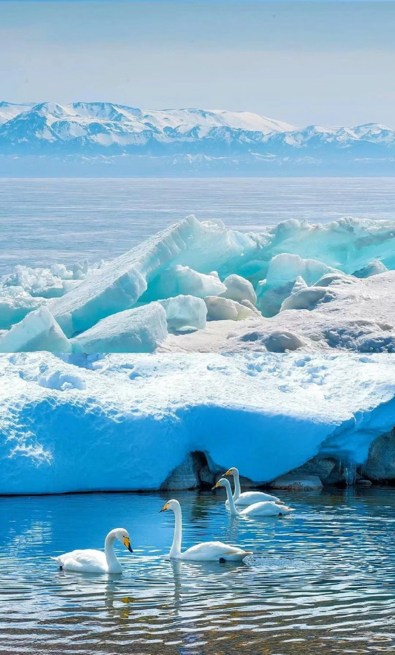 冰层下面的气泡,赛里木湖在这个时候很想一块巨大的蓝宝石,湖面上的