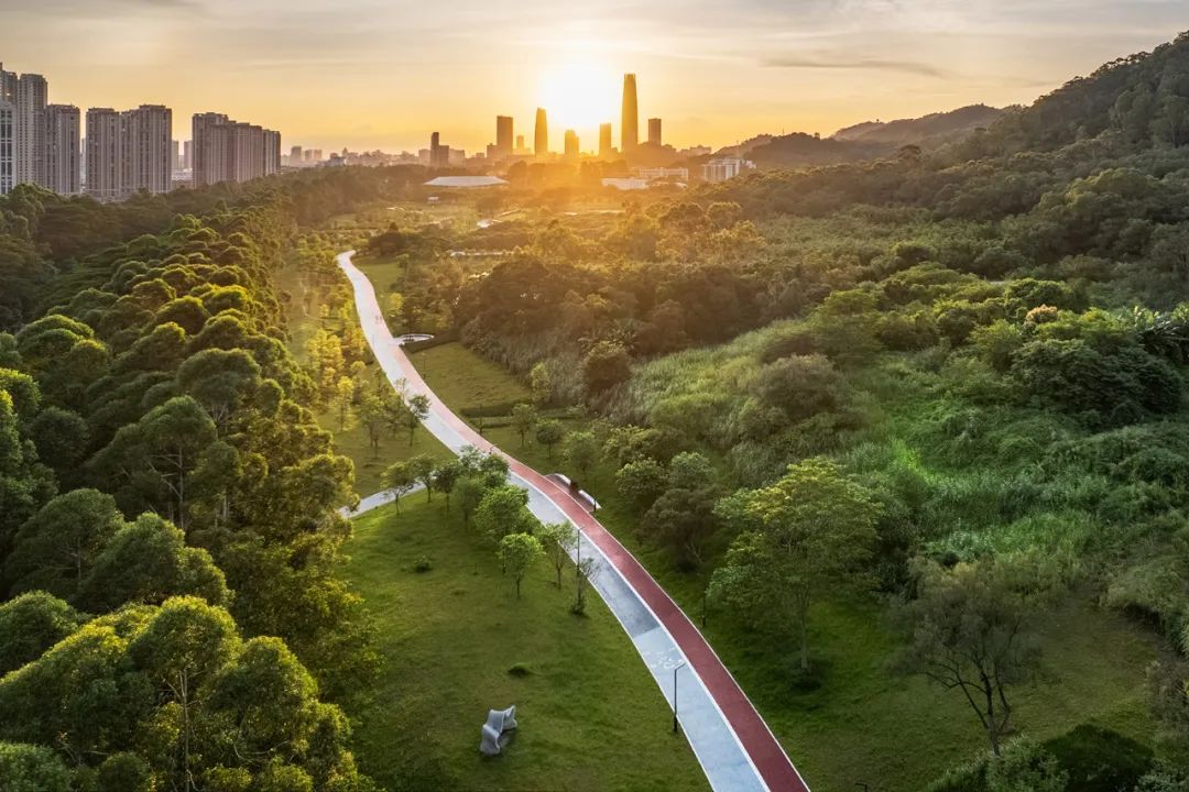 景观步道设计图片