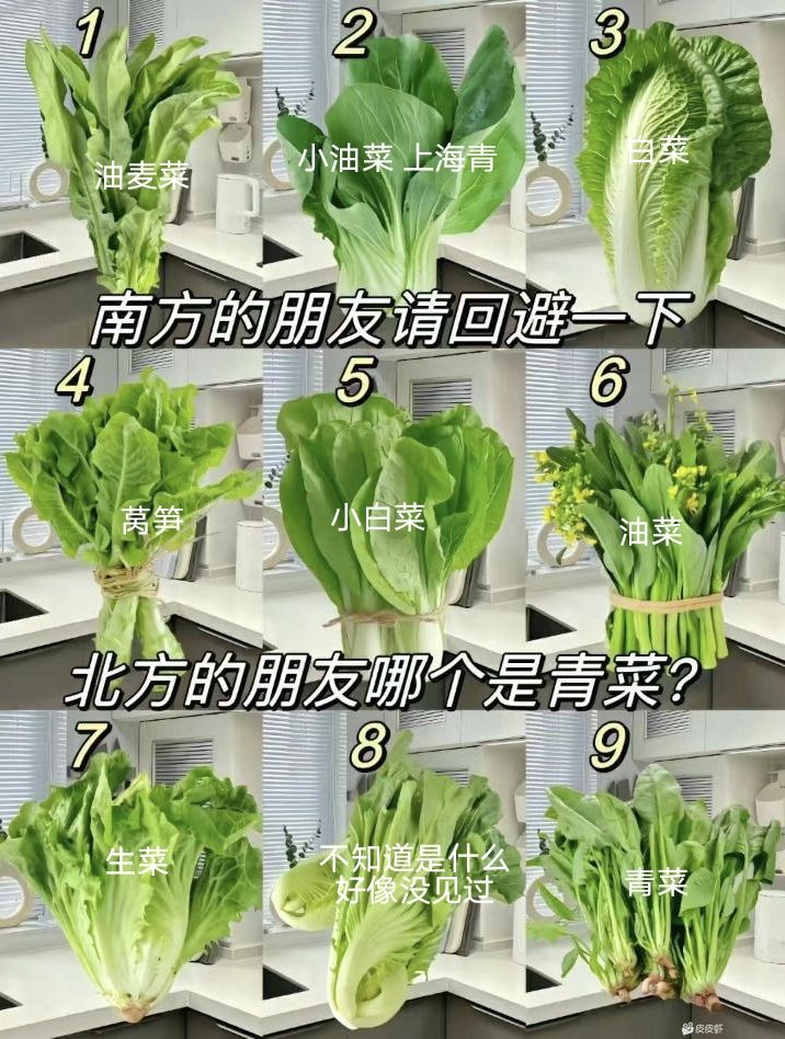 南方的菠菜,北方叫青菜,北方人傻傻分不清楚