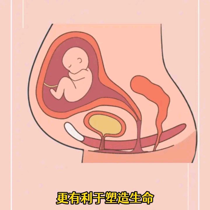 为什么大多数二胎宝宝颜值更高? 头胎颜值在先,二胎颜值逆天.