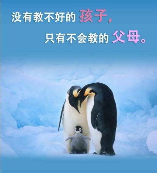 还在为辅导孩子写作业而崩溃吗?快来试试彭凯平教授这五个方法