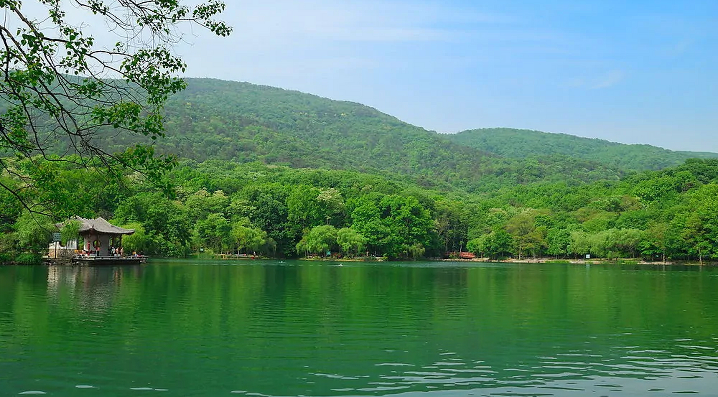 紫霞湖:南京的天然氧吧,心藏于钟山风景区的绿意中.