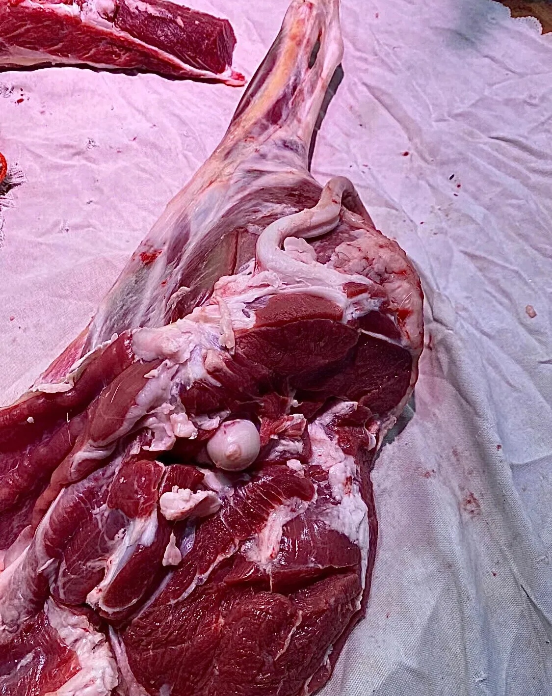 但是吃多了羊肉鼻子冒血,好郁闷,有啥不上火的补