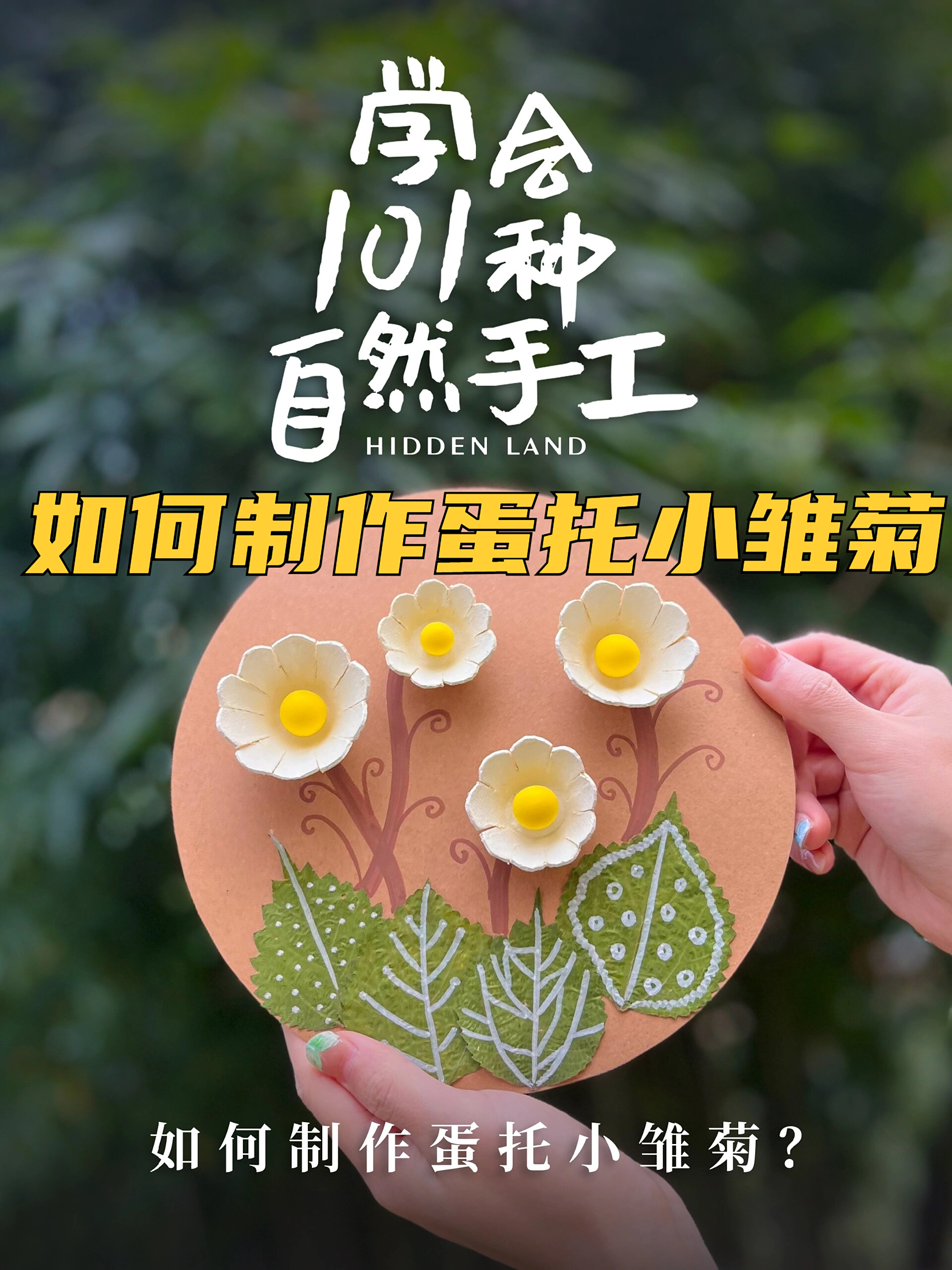如何制作蛋托小雏菊 掌握创意的魔力 让手指间的鸡蛋托小雏菊 绽放