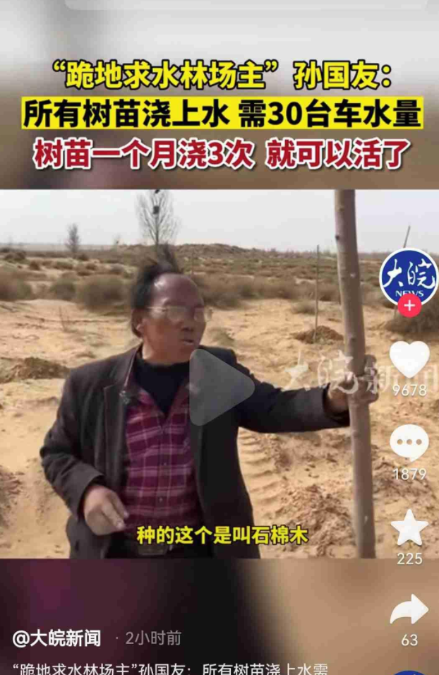 沙漠种树大骗局图片