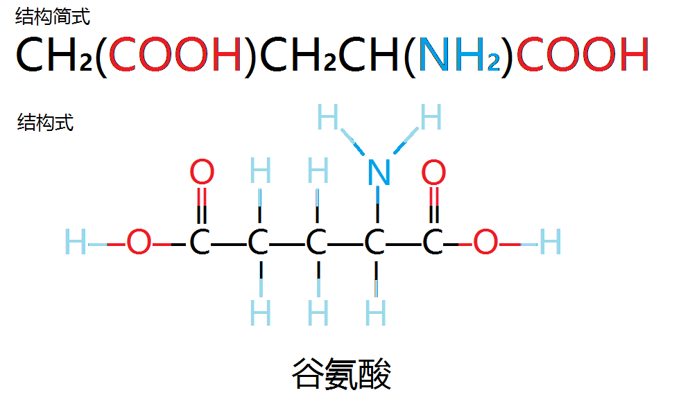 组氨酸结构式组成图片