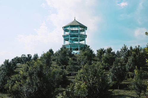 孔雀谷森林公园,位于云南芒市,占地15003亩,集自然,人文与民族文化于