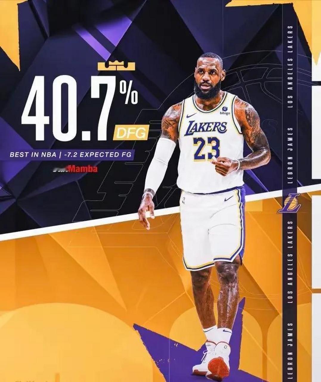 最佳防守 队员 詹姆斯相关图片4