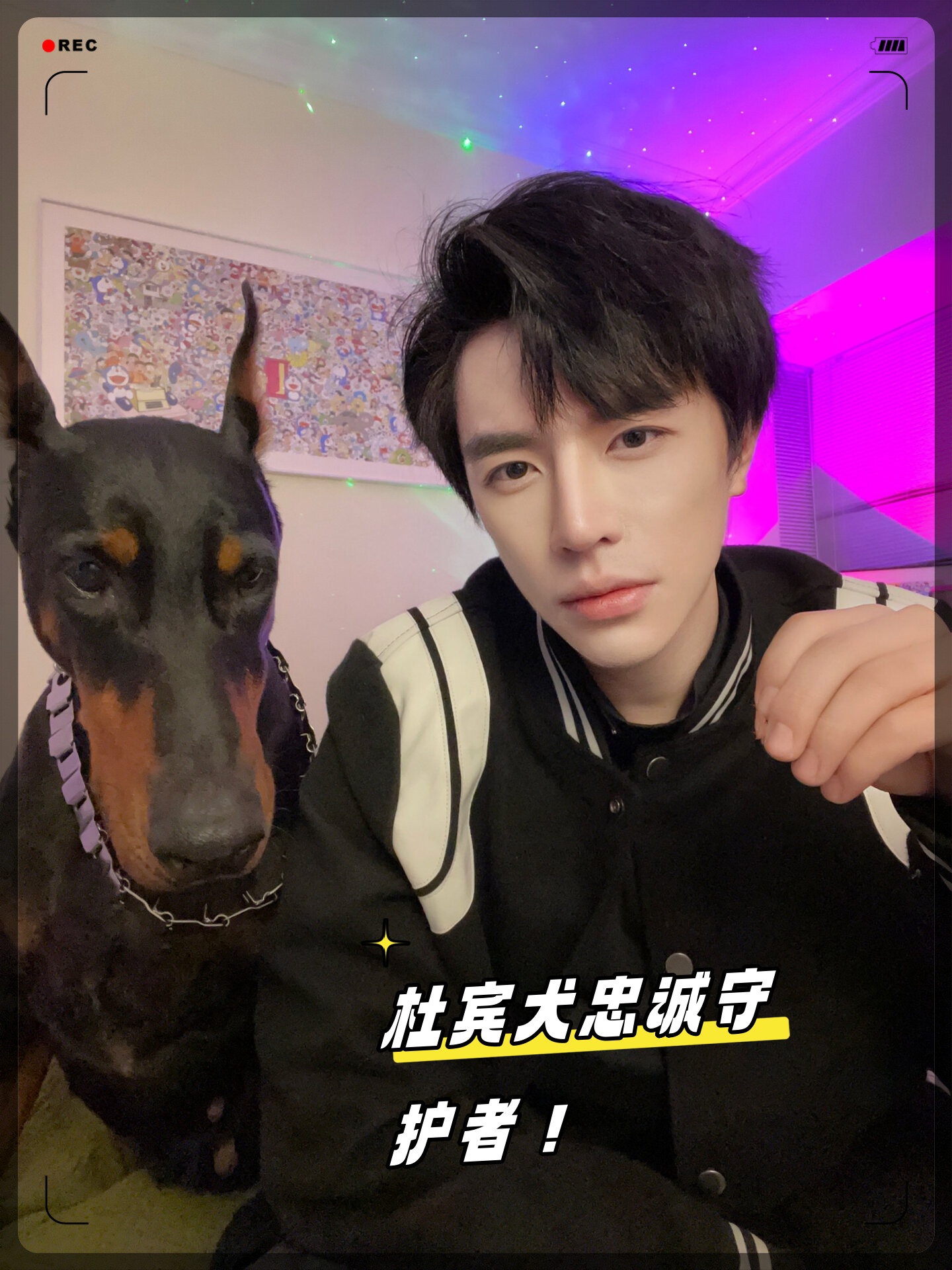 无论是看家护院还是陪伴玩耍杜宾都能做得出色 我要上热门