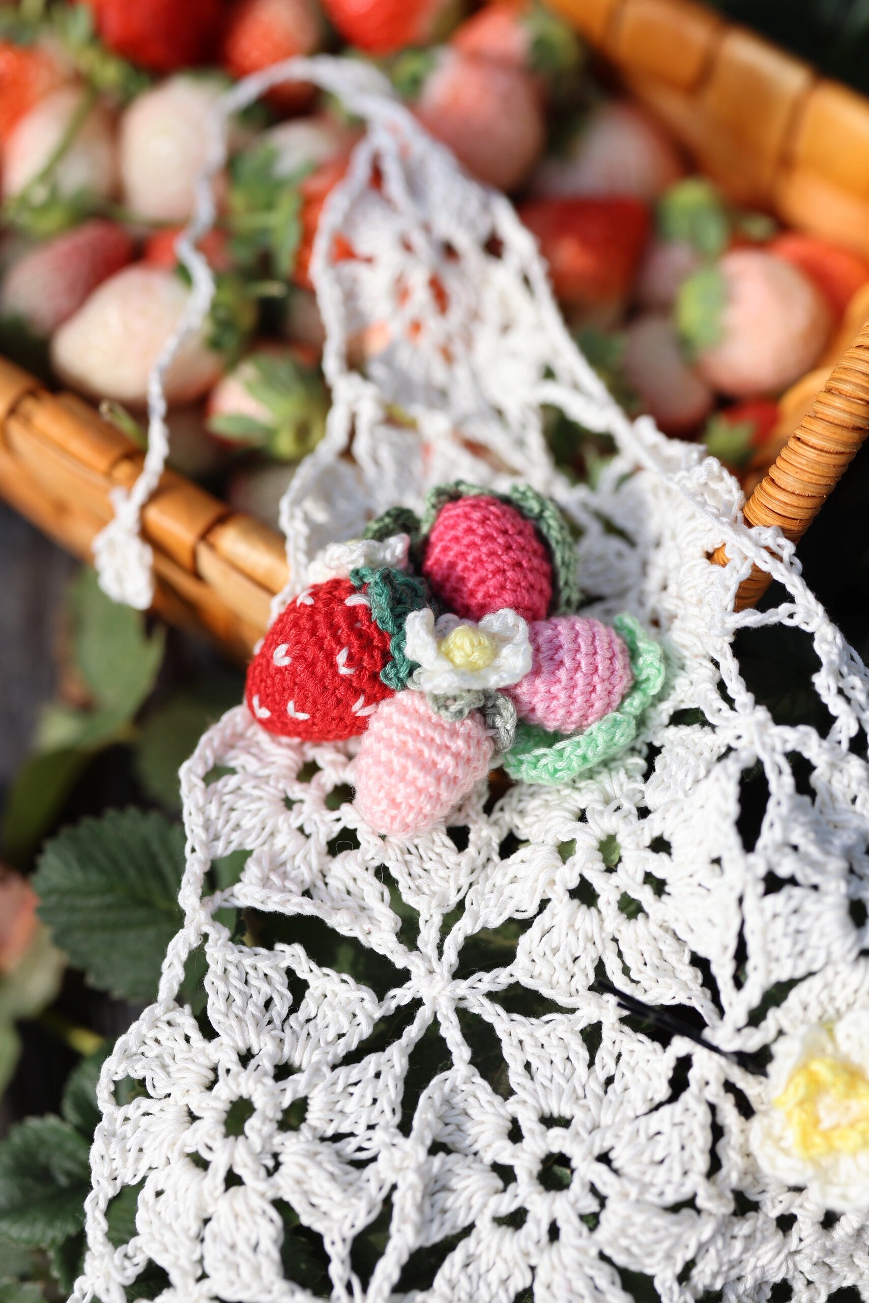 爱学习的鱼儿妈的动态