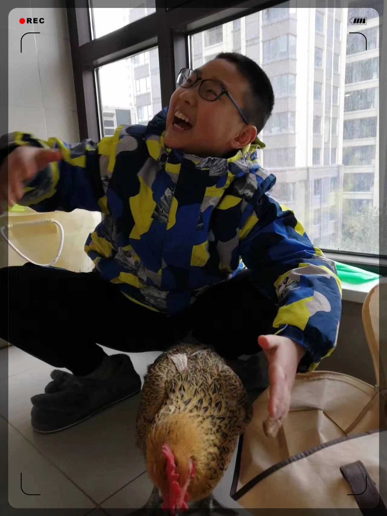 这只鸡还不知道它没有明天