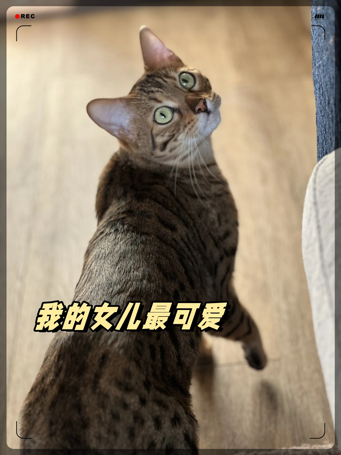 谢谢当时的决定,把这么可爱特别的妹妹带到我身边 她善良,性格中带着