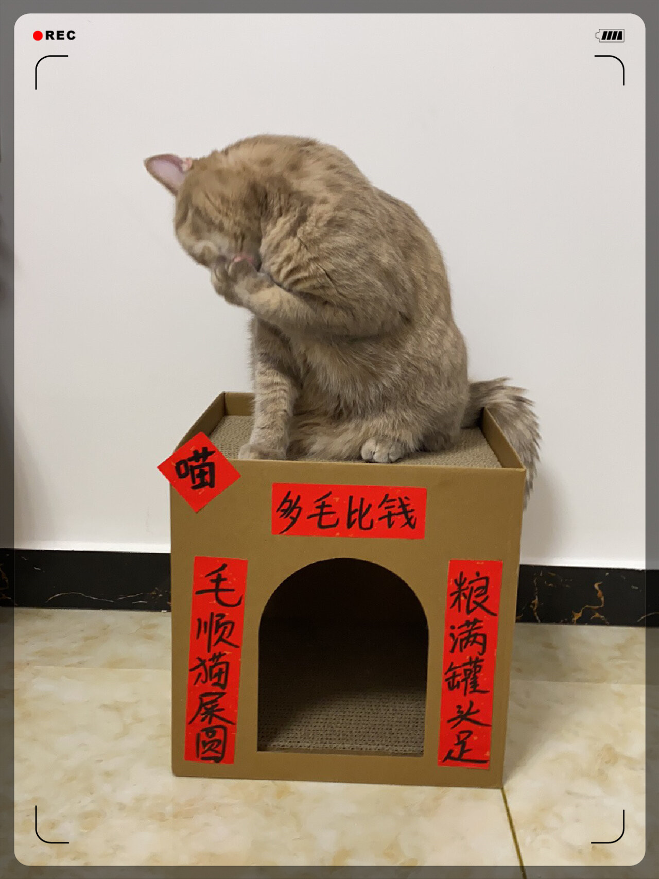 猫窝霸气对联图片